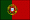 Portugues