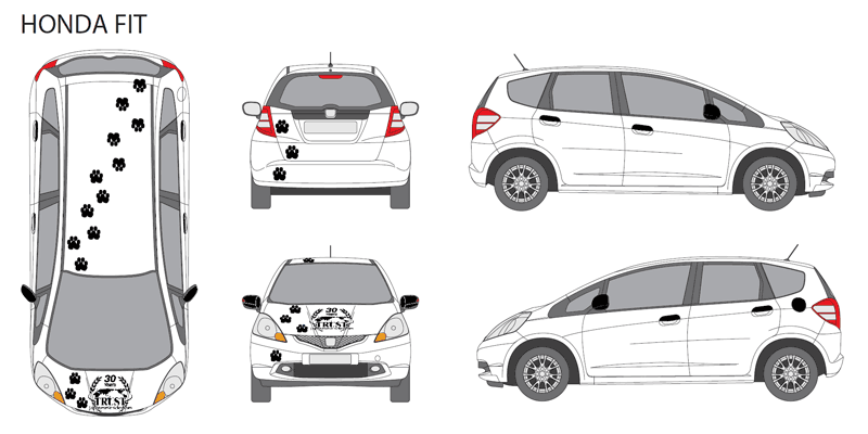 Example of design for Honda Fit