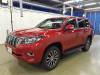 TOYOTA PRADO - LANDCRUISER 2019 S/N 271371